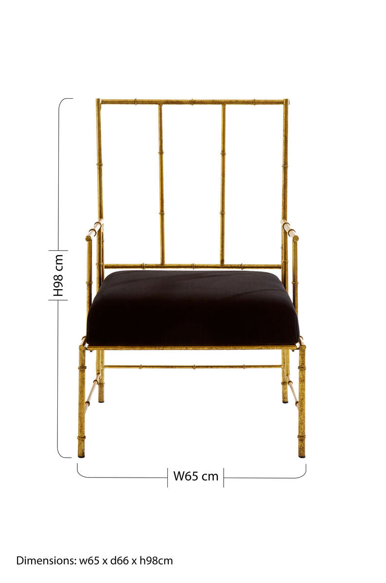 Monroe Black and Gold Velvet Accent Chair with Metal Frame
