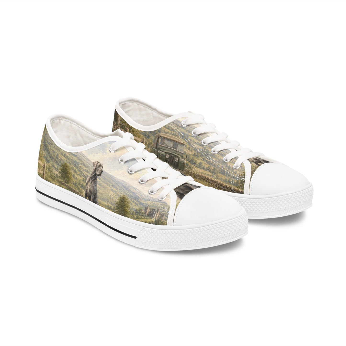 Blue Great Dane & Vintage 4x4 Low-Top Canvas Trainers Sneakers