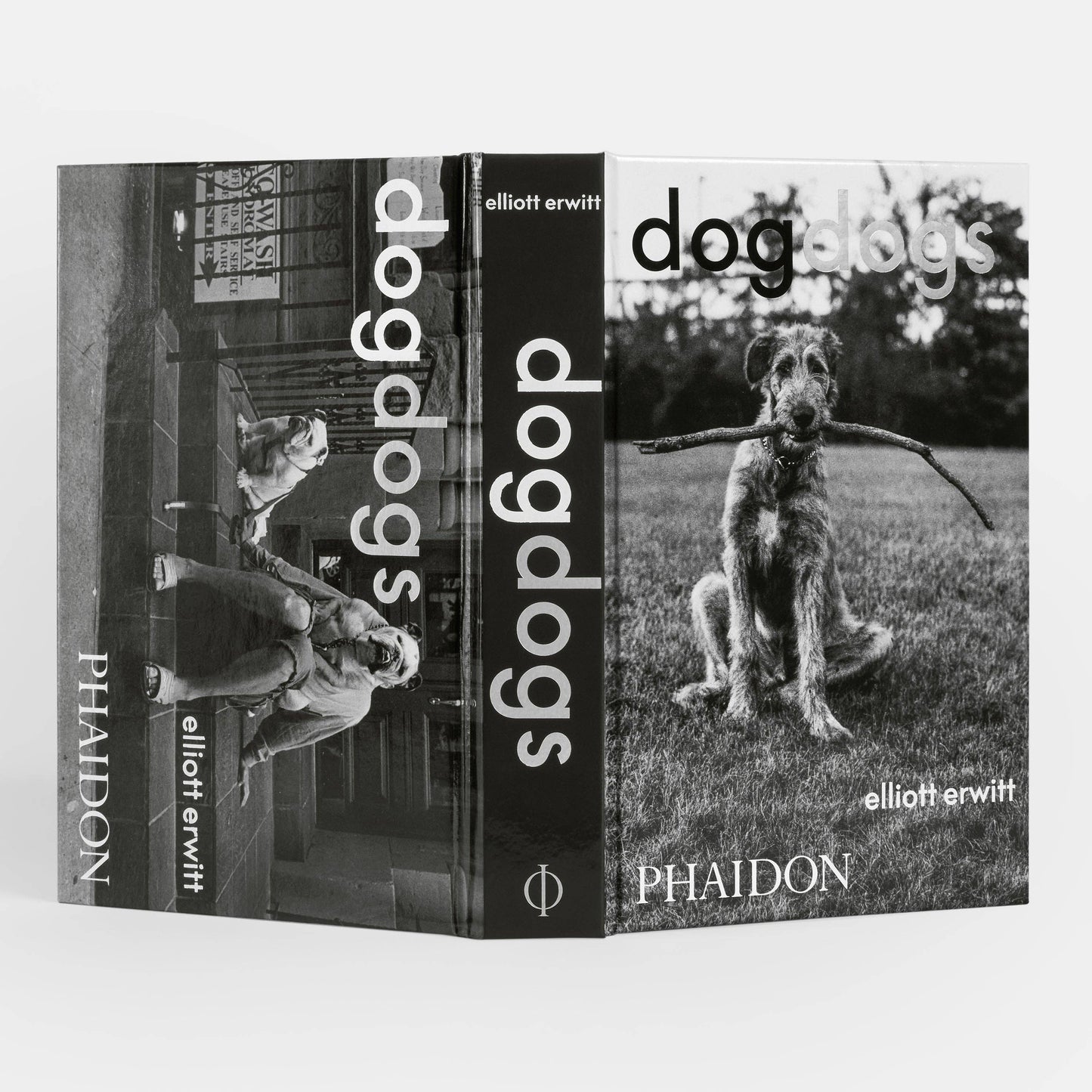 DogsDogs by Elliott Erwitt