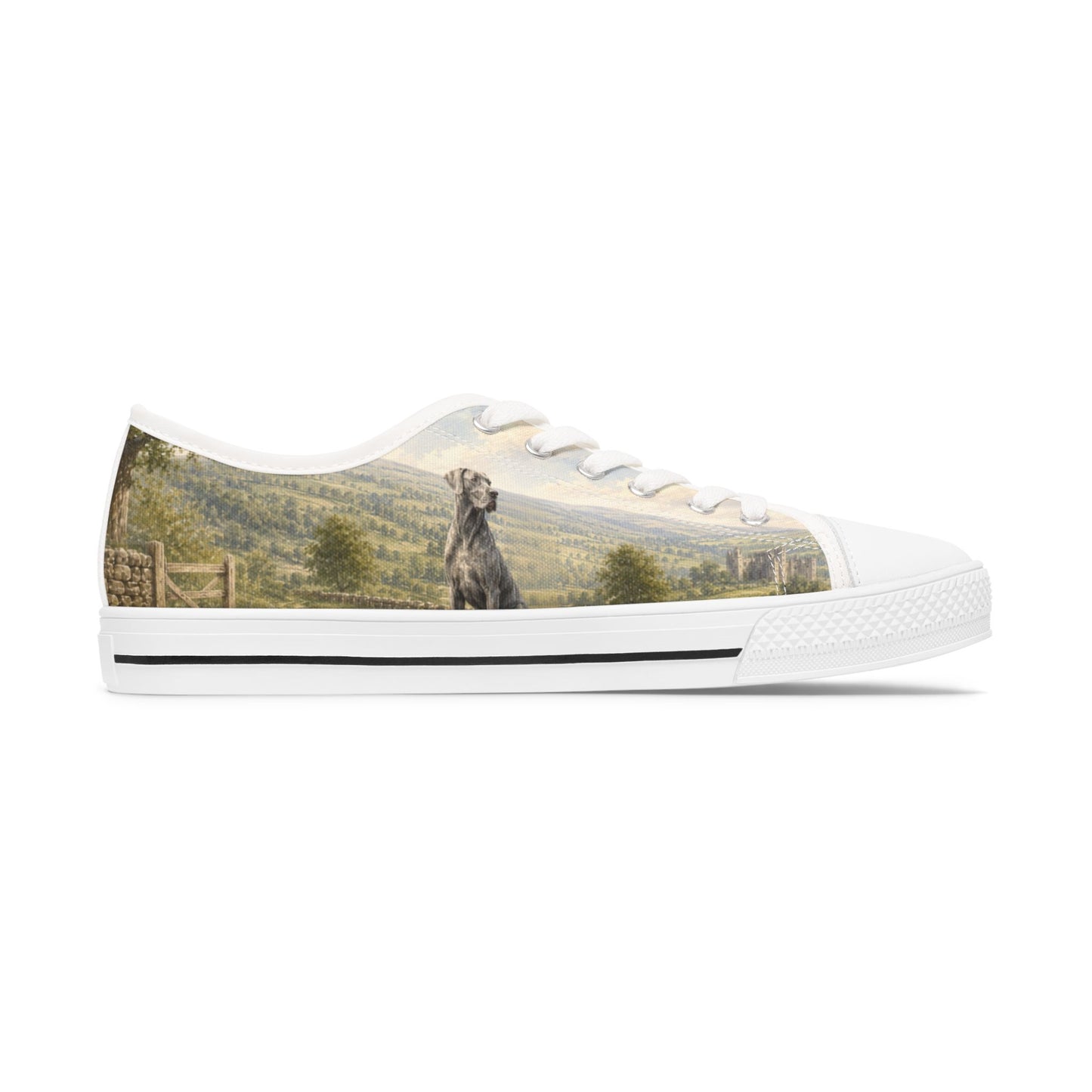 Blue Great Dane & Vintage 4x4 Low-Top Canvas Trainers Sneakers