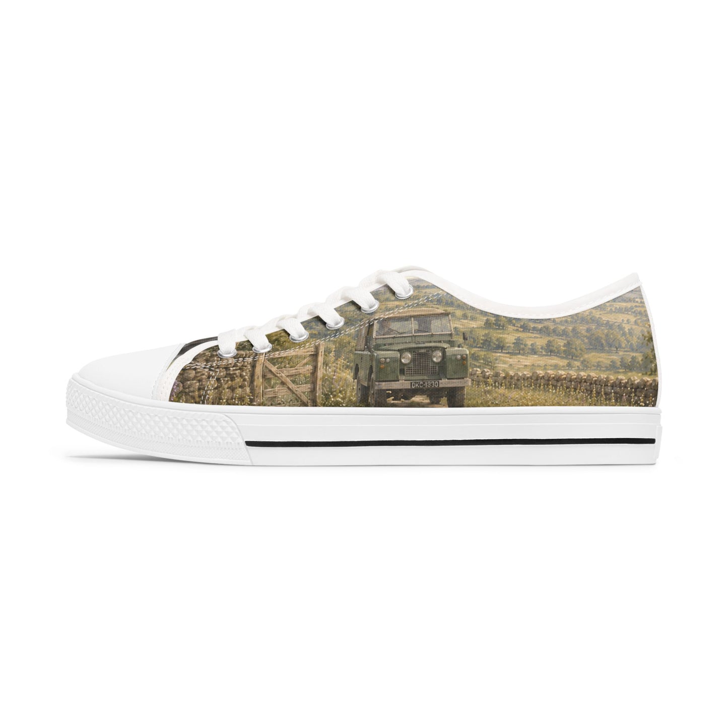 Blue Great Dane & Vintage 4x4 Low-Top Canvas Trainers Sneakers