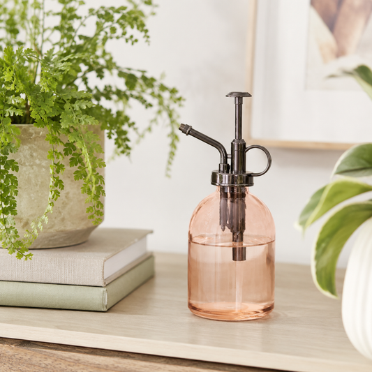 Pink Minimalist Glass Plant Mister