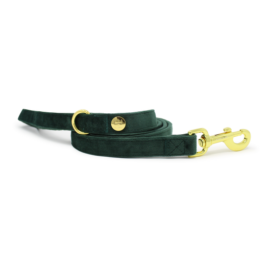 Olive Green Velvet Lead