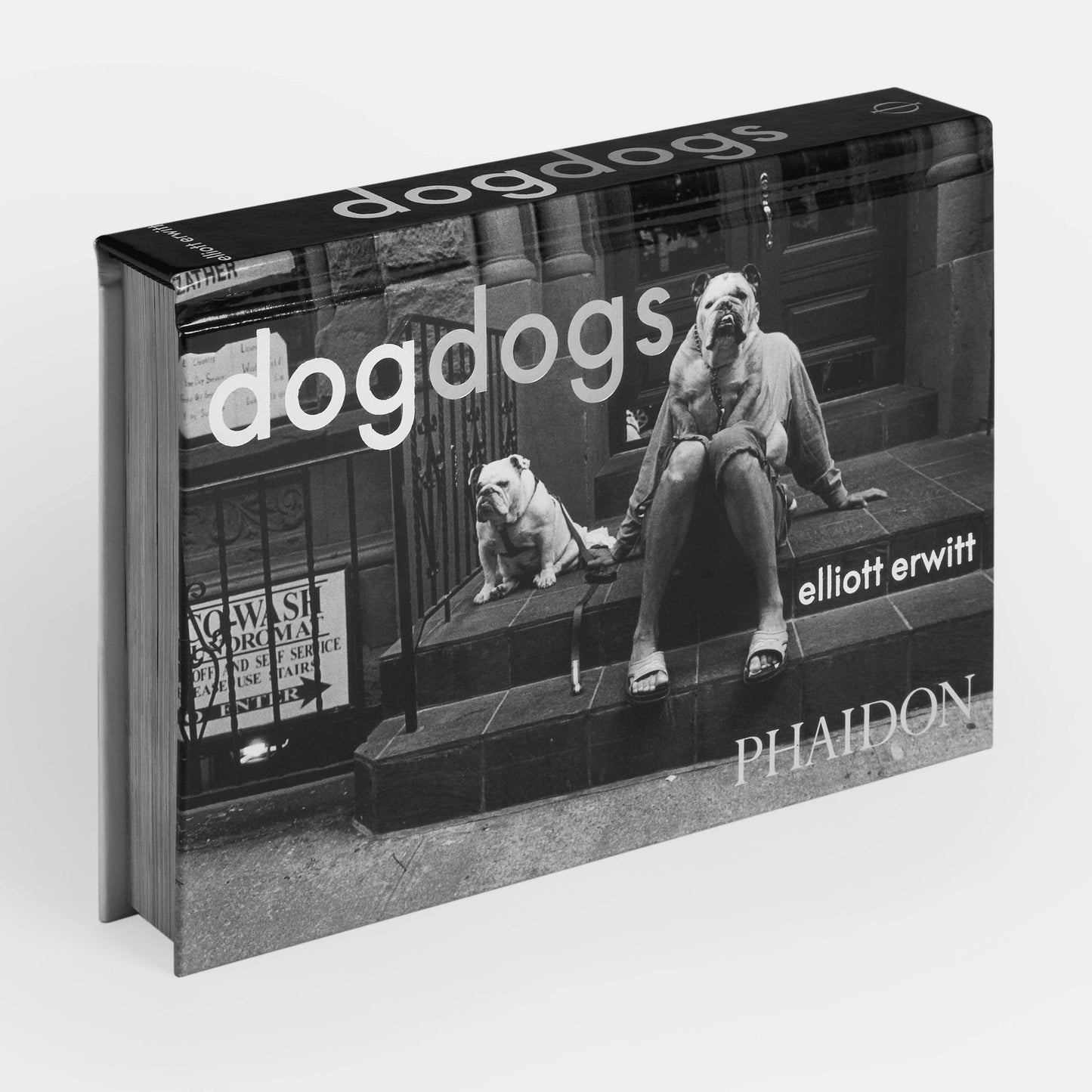 DogsDogs by Elliott Erwitt