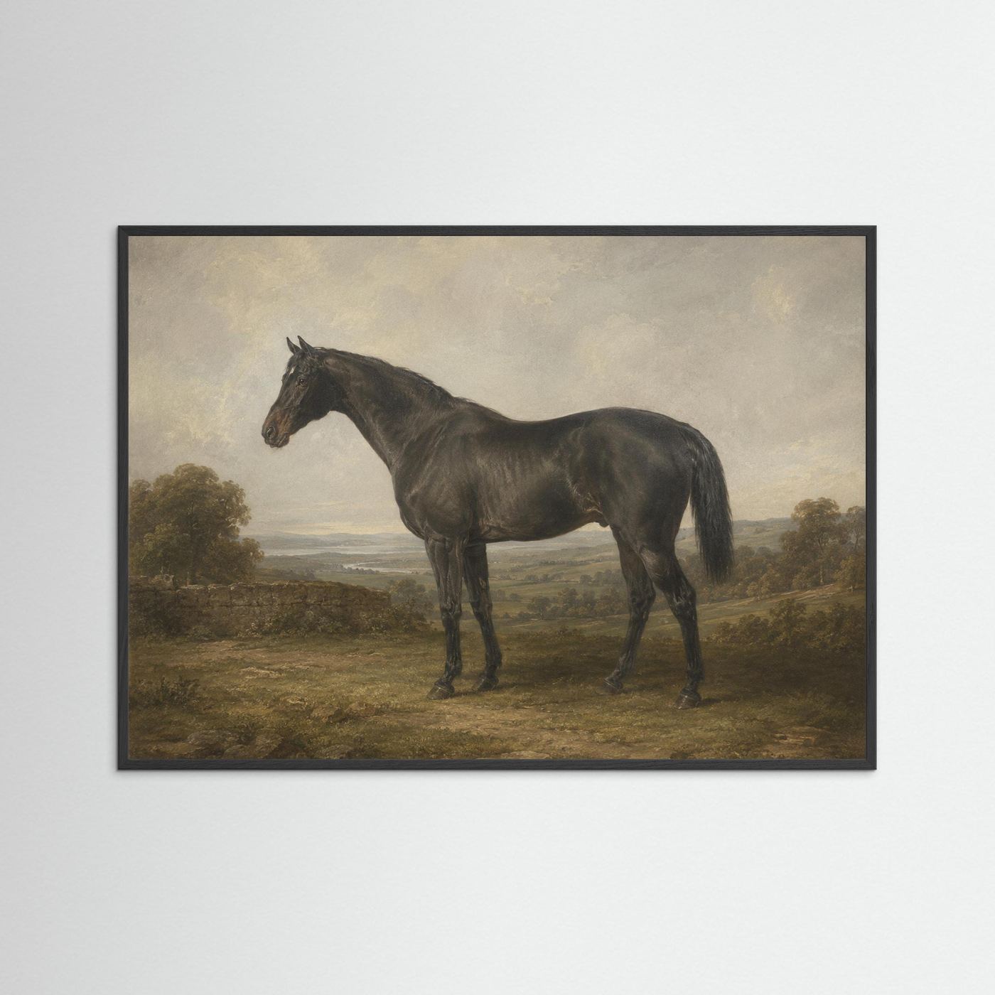 Horse in the British Countryside Framed Wall Art - Copy