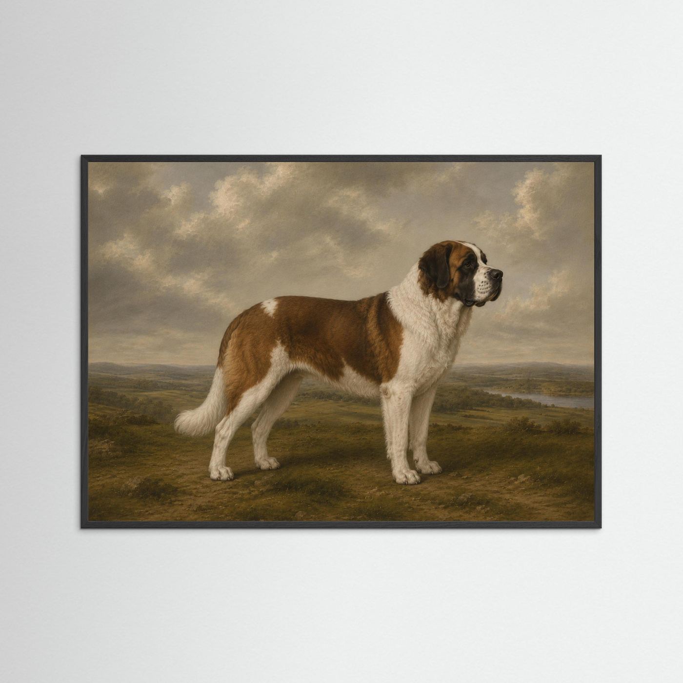 Saint Bernard in the British Countryside Framed Wall Art  - Copy - Copy - Copy - Copy - Copy - Copy