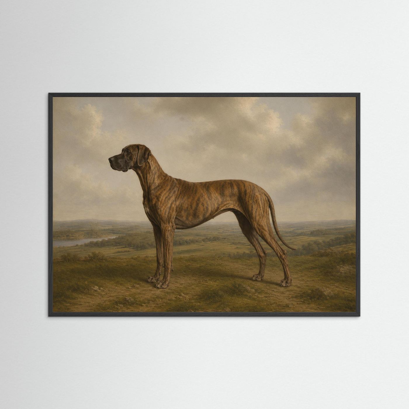 Brindle Great Dane  in the British Countryside Framed Wall Art  - Copy - Copy - Copy