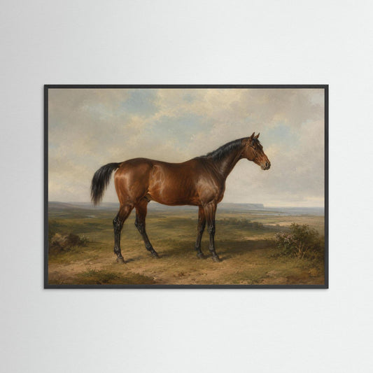 Bay Horse in the British Countryside Framed Wall Art