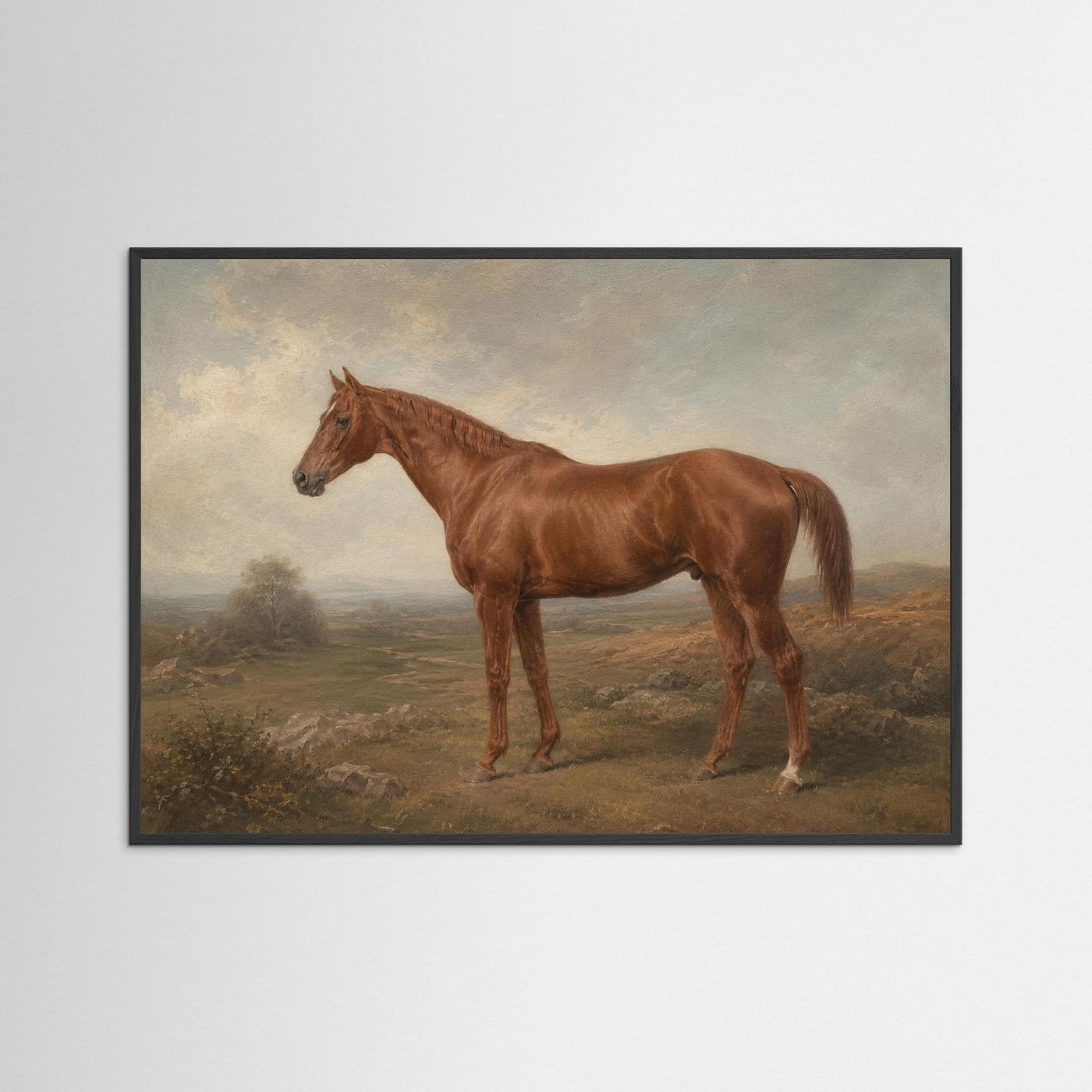 Horse in the British Countryside Framed Wall Art - Copy - Copy