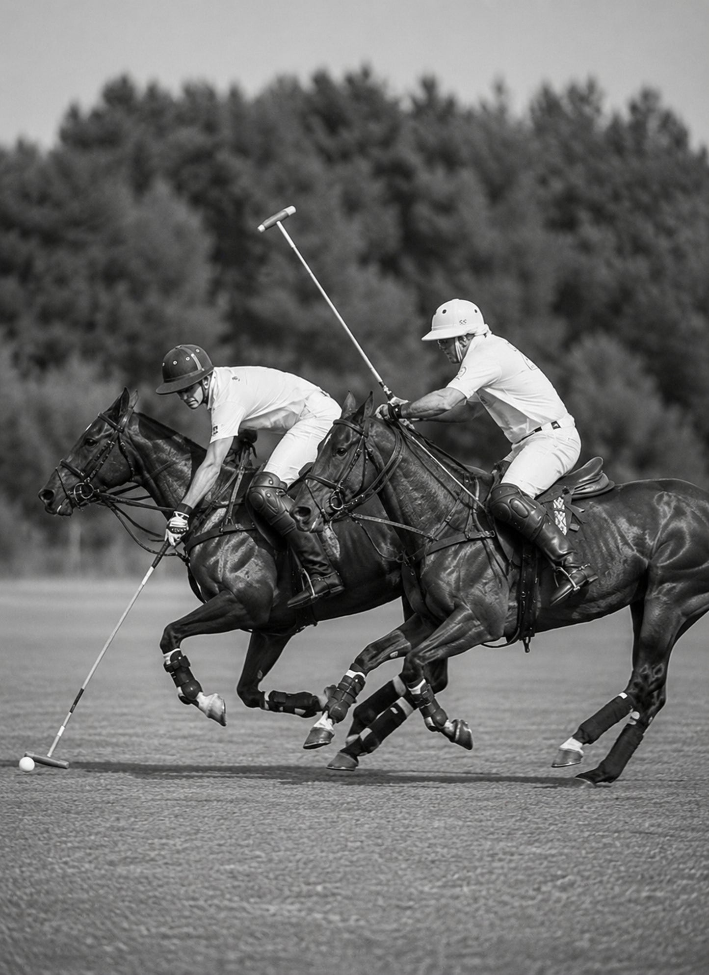 Polo at Full Gallop I — Mounted Art Print