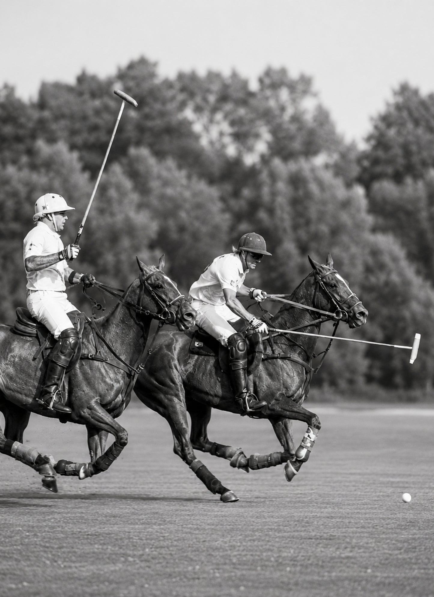 Polo at Full Gallop II — Mounted Art Print